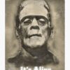 flat750x075f pad750x1000f8f8f8.u15 6 - Frankenstein Shop
