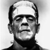 flat750x075f pad750x1000f8f8f8.u2 14 - Frankenstein Shop