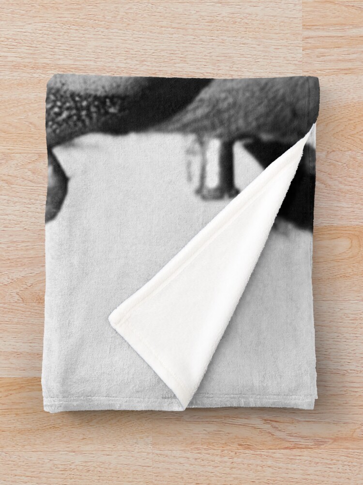 Classic Frankenstein Vintage Horror Throw Blanket - Image 2